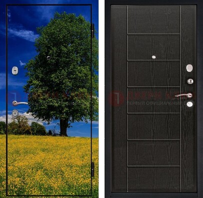 Железная дверь с фотопечатью дерева в поле ДФ-36 в Видном